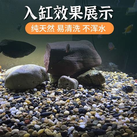 魚缸石頭種類|水族箱造景石頭：打造美麗水下世界的必備之物 